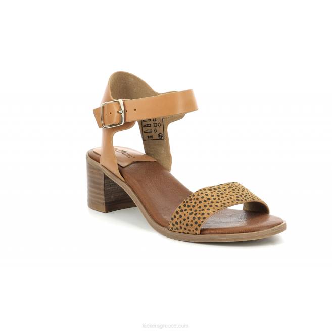 γυναίκες βολού καμηλό μαύρο στάμπαKickers J48679