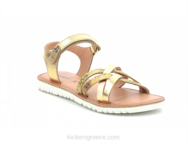 παιδιά καλύτερο νέο χρυσό ερπετόKickers J486488